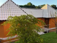 Morro de São Paulo - Pet-friendly