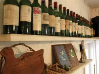 Pension & Cottage Shokubutsushi - Quầy bar