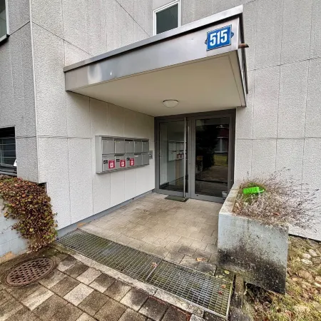 Basic 2 BR Apartment in Witikon district