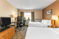 Comfort Inn - Wifi