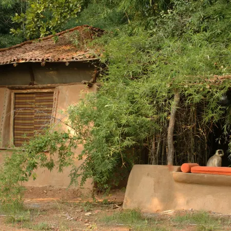 Mahua Kothi Bandhavgarh - A Taj Safari Lodge