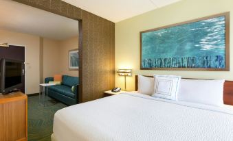 SpringHill Suites Austin South