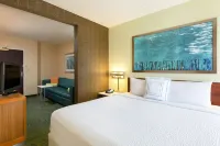 SpringHill Suites Austin South - نادي رياضي