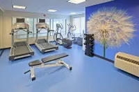 芝加哥紹姆堡／伍德菲爾德購物中心萬豪SpringHill酒店 - SPA