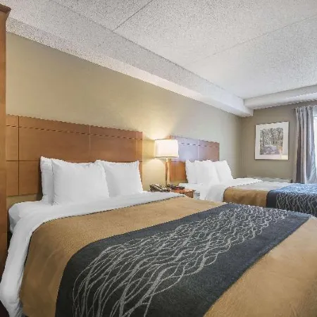 Comfort Inn Hotels in Chilliwack