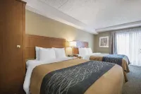 Comfort Inn - Pet-friendly