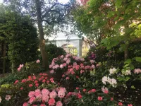 NordWest-Hotel Amsterdam Отели в г. Вифельштеде