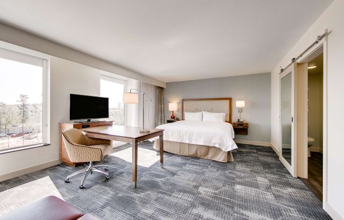 Hampton Inn & Suites North Houston Spring