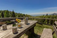 To Fall in Love - Chalet Zlatica - Velika Planina