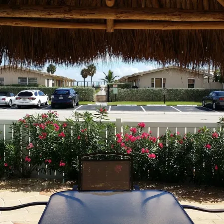 The Palms On Ocean