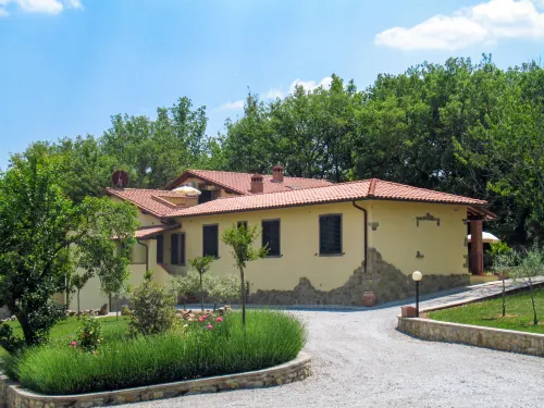 Ginestra