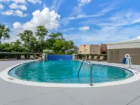 Comfort Inn & Suites St Pete - Clearwater International Airport Hotels in Pinellas County
