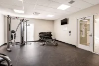 Quality Inn & Suites Carlsbad Caverns Area - Gym