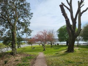 Marina Reach Neyland, Flat with Great Sea Views