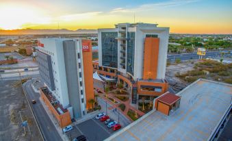 Ibis Torreon