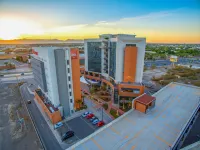 Ibis Torreón