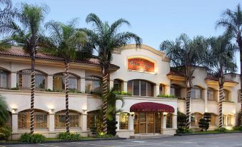 Hotel & Suites Quinta Magna