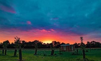 Honeysuckle Farm Hut 4 - Suffolk Farm Holidays