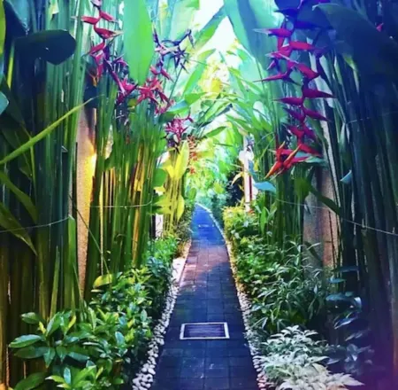 My Villas in Bali