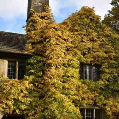 Stone House Hotel Hotel Exterior