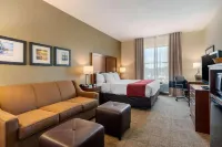 Comfort Inn & Suites Northeast - Gateway Hotels in Pinellas County