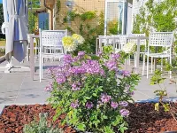 Country Hotel Al Gallo Отели в г. Одерцо