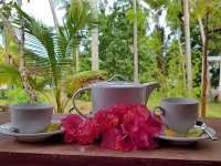 Rocky Point Beach Bungalows