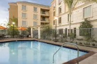 Ayres Hotel Orange - Uima-altaat