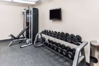 Hilton Garden Inn Detroit-Southfield - Gym