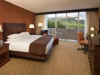 The Park Vista - a DoubleTree by Hilton Hotel - Gatlinburg Hotels in Gatlinburg