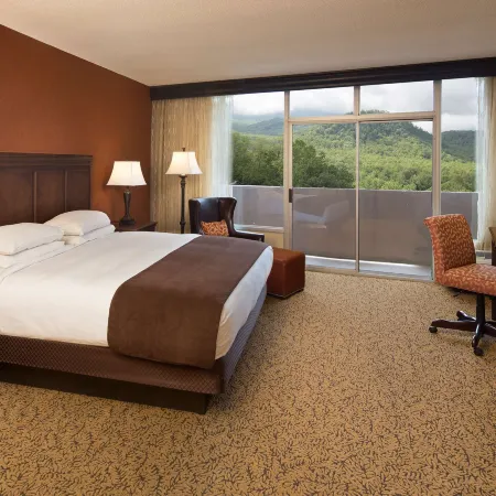 The Park Vista - a DoubleTree by Hilton Hotel - Gatlinburg