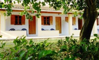 Anemona Studios
