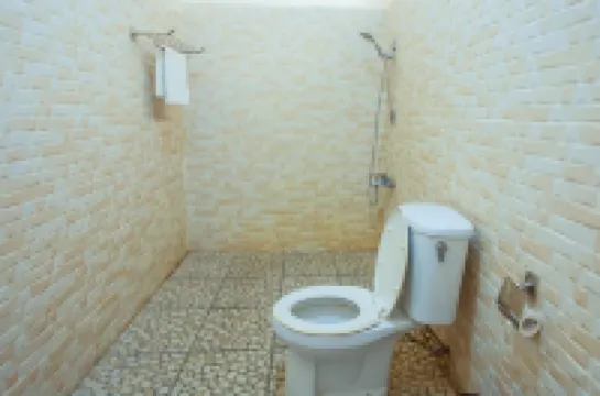 ブランジョン・ホームステイ