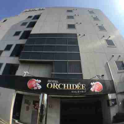 Hotel Orchidee - Adult Only Hotel Exterior