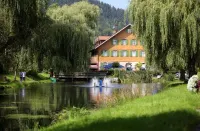 Hotel Zur Alten Mühle - 駐車場