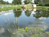 The Lowfield Inn Hotels in Welshpool