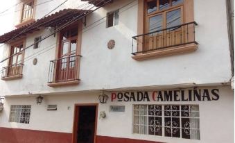 Hotel Posada Camelinas