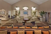 Homewood Suites by Hilton Daytona Beach Speedway-Airport Hotels in Daytona Beach