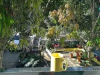 Purple Orchid Bed and Breakfast