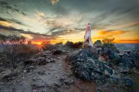 The Argent Motel Hotels in Broken Hill