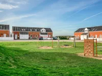 "Ginger" - 2.3km from the Sea