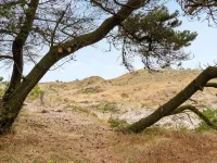 "Atreju" - 2km from the Sea Hotels in Bedsted Thy