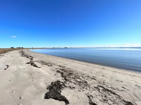 "Toska" - 100m to the Fjord Отели в г. Rorvig