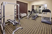 Holiday Inn LOUISVILLE AIRPORT SOUTH by IHG - С тренажерным залом