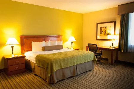 Best Western Plus Miami-Doral/Dolphin Mall