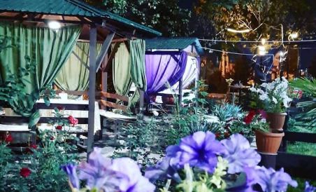 Bay Ali Hotel - Housity