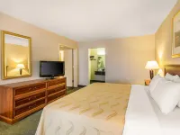 Quality Inn & Suites McDonough South I-75