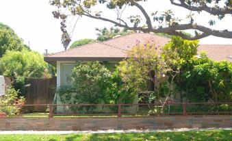 Charming Culver City Cottage w/ Shared Pool+Garden