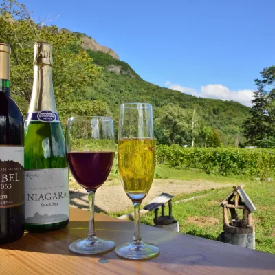 Luxury Hotels near Zepp Sapporo