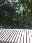 Ella Nature Nest